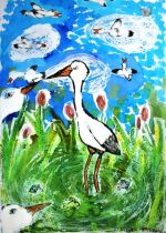 Tarasovičová Nikola.jpg